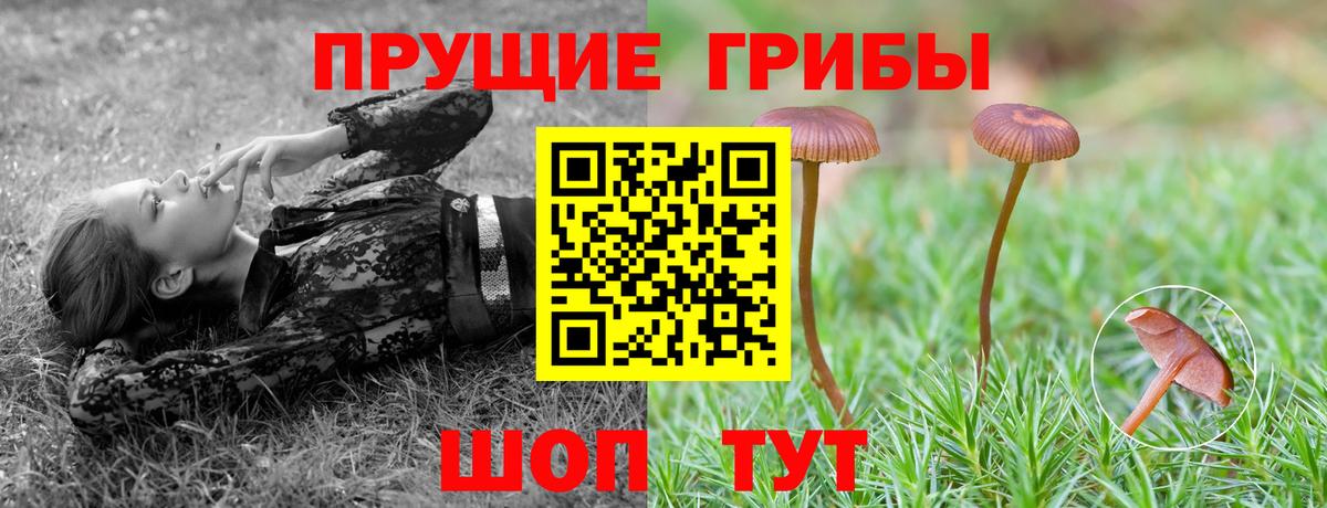 Галлюциногенные грибы Magic Shrooms  Вход с VPN  Свободный  Псилоцибиновые грибы прущие грибы 